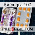 Kamagra 100 new12